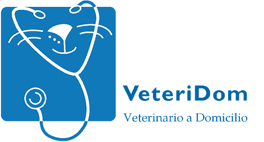 Diseño Web y Logotipos para Veterinario a Domicilio